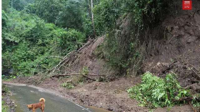கேரள பெருமழை (புகைப்படத் தொகுப்பு)