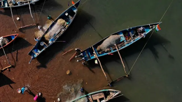 માછીમારી