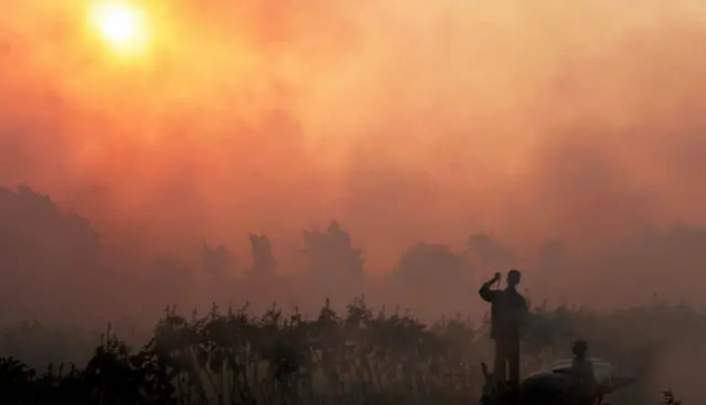 Qiiq ka baxaya meel beeraley ay qashin ku gubeen