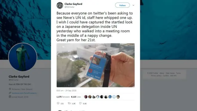 盖福德在推特上发了一张联合国给娜芙的通行证照片