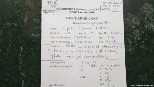 ਬਾਘ ਨਾਲ ਭਿੜੀ ਰੁਪਾਲੀ, ਫਿਰ ਲਈ ਸੈਲਫੀ