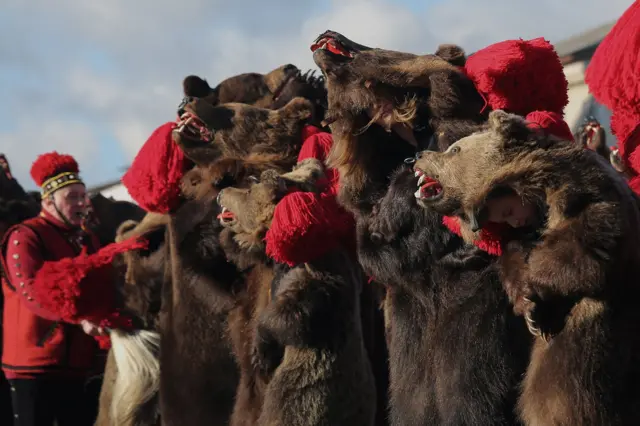 Jedna za drugom, trupe nastupaju na velikoj bini postavljenoj na gradskom trgu. Pored medveda, tu su i učesnici u drugim ulogama poput predvodnika trupa, mečkara, dobošara, kao i različitih likova sa kostimima zoomorfnih karakteristika.