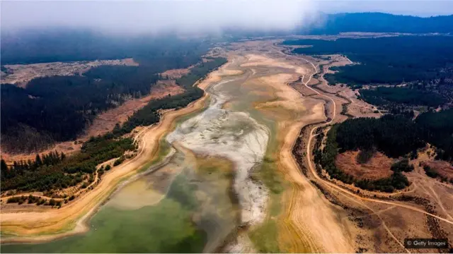 ቫይረስ ዘይብላ ዓለም ደው ኢላ ክትኸይድ ኣይትኽእልን