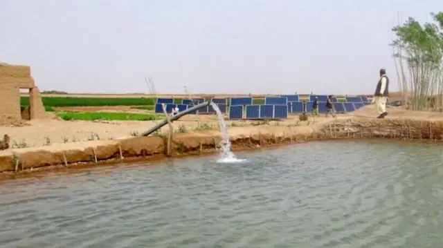 Афғонистонда