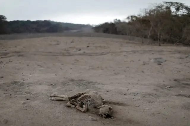 ภูเขาไฟ กัวเตมาลา ฟูเอโก