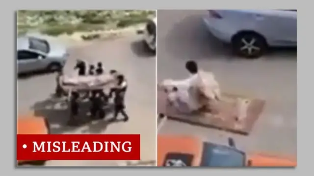 બનાવટી વીડિયોના સત્યની તપાસ