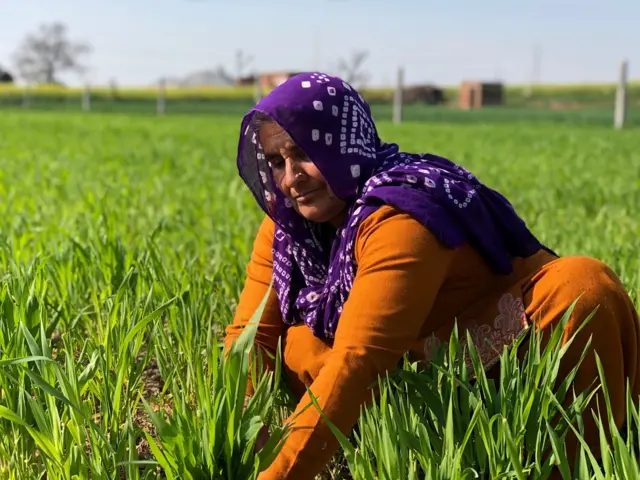 विनेश फोगाट