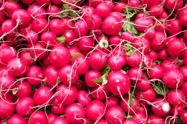 A pile of radishes
