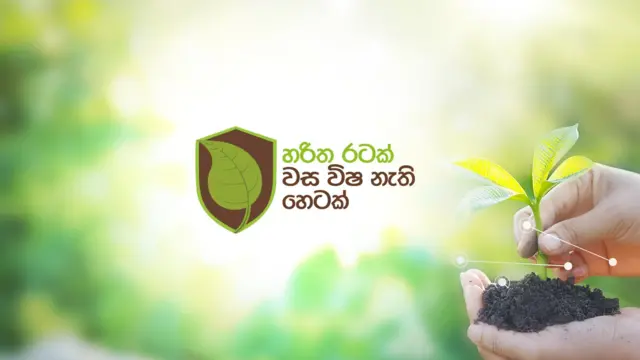 Wasa wisa nethi hetak banner