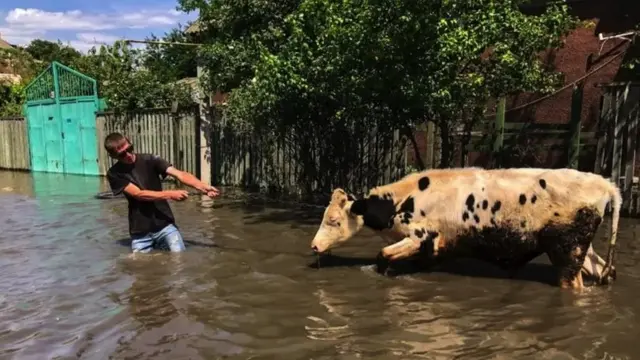 GLOBAL IMAGES UKRAINE VIA GETTY IMAGES