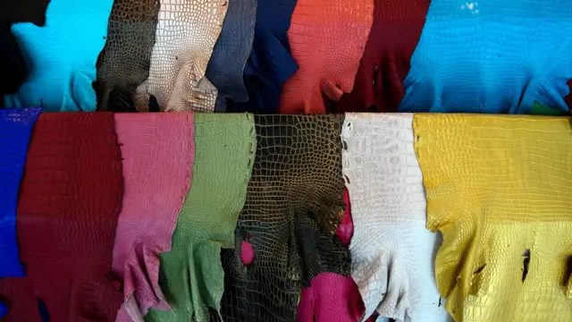 หนังจระเข้