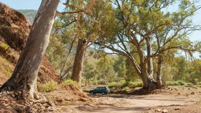 Les couches sédimentaires des gorges de Brachina ont leur propre histoire à raconter