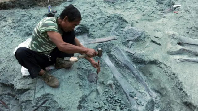 Cina, dinosaurus, fosil