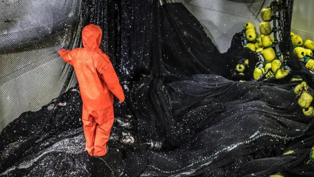 Un hombre en labores de pesca