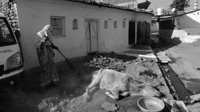 ਸਫ਼ਾਈ ਕਰਮਚਾਰੀ