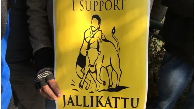 जल्‍लीकट्टू