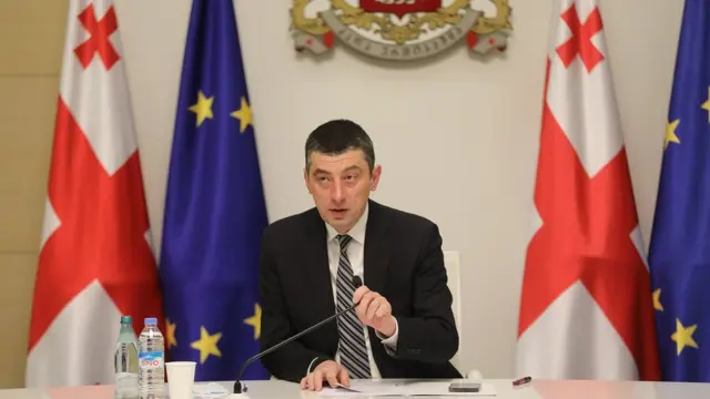 Giorgi Gakharia Gürcüstan Baş naziri istefa verib Qaxariya istefa verib