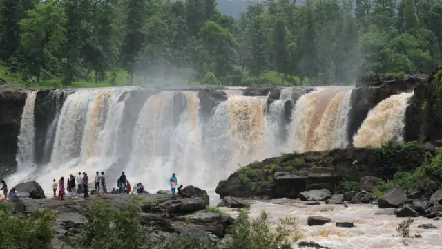 ગિરા ધોદ