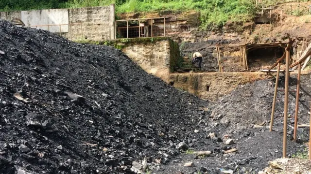 Omisha dhagaa cilee bosona Yaayyoo