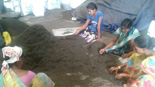 चाय कंपनी