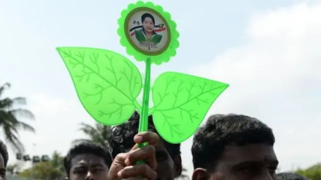 இரட்டை இலை சின்னம் தொடர்பான வழக்கு: உச்சநீதிமன்றத்தில் மேல் முறையீடு - BBC News தமிழ்