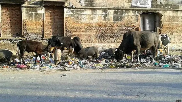 सिगरा इलाक़ा