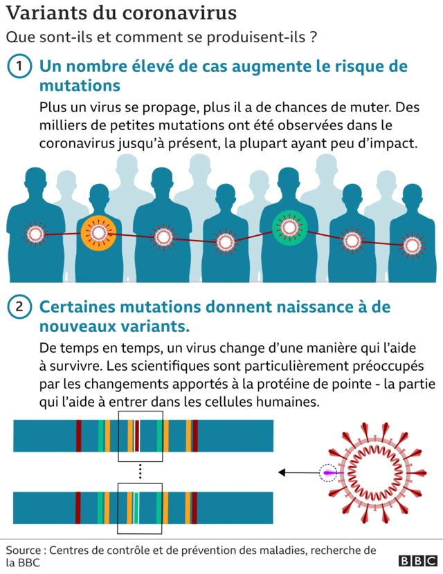 Graphique Variants du Coronavirus