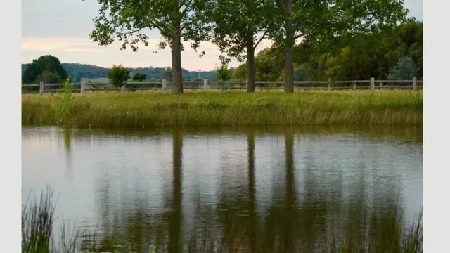 كيف تسهم الأعشاب الضارة في مكافحة التغير المناخي؟