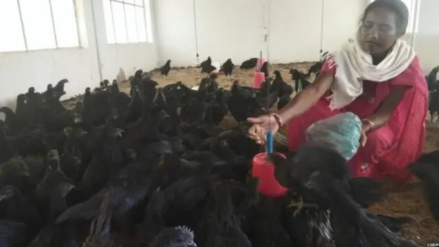 कड़कनाथ