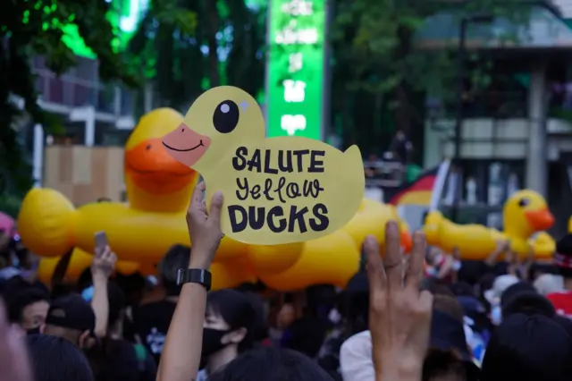 ป้ายประท้วงเป็ด