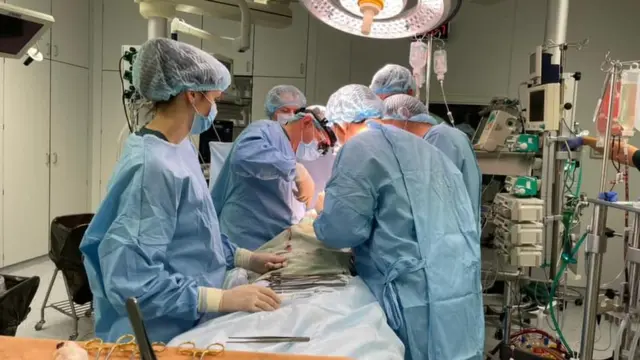 трансплантація