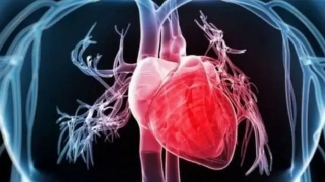 हृदयविकाराचा झटका, छातीत दुखणं