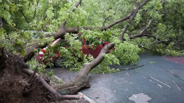 A view shows a tree, which was uprooted by a heavy storm and fell down on a car, in Moscow, Russia, 29 May 2017