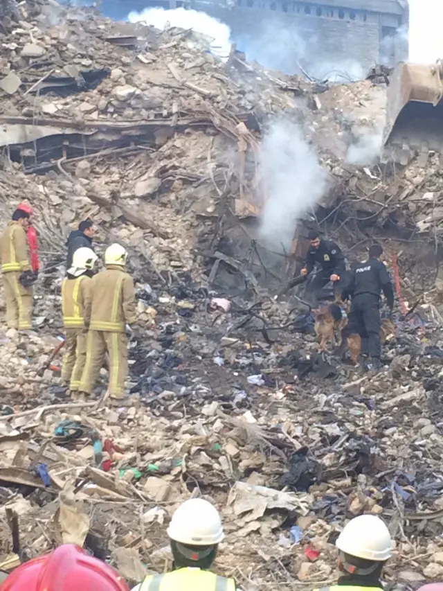 سگ‌های زنده‌یاب امروز در محل حاضر بودند