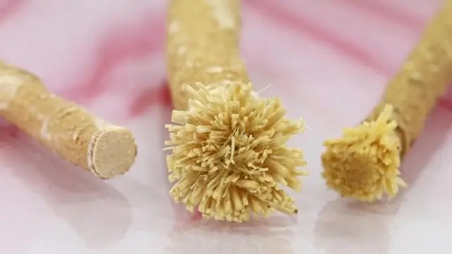 Misvak, sa drveća kao što je Salvadora persica, koristi se milenijumima za čišćenje zuba (Alamy)