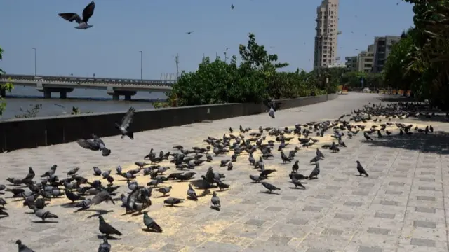 মুম্বাইয়ের জনশূন্য ওরলি সি ফেস – লকডাউনের মধ্যে