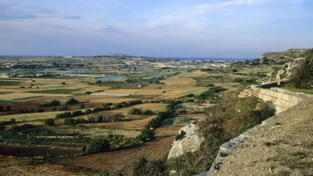 விக்டோரியா லைன்ஸில் கோட்டைகள், பீரங்கித்தொகுதிகள், நுழைவாயில்கள், உயரத்தில் இருந்து ஷெல் தாக்குதல் நடத்தும் நிலைகள் மற்றும் இவை அனைத்தையும் ஒன்றாக இணைக்கும் தொடர்ச்சியான காலாட்படை தங்குமிடங்கள் ஆகியவை உள்ளன.