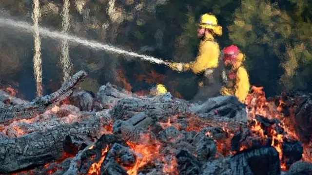 जंगल की आग