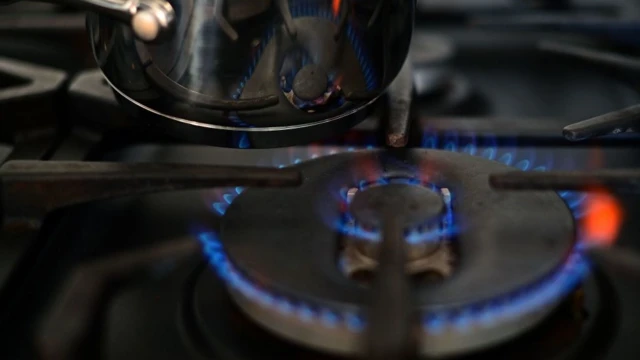 Avrupa'da arz, talep ve piyasa tarafında yaşanan gelişmeler yüzünden doğalgaz fiyatlarında bu yıl yüzde 600'e varan bir yükseliş yaşandı. Bu da bütün dünyayı bir enerji krizine sürükledi. Şimdiden iflas eden şirketler ve üretimini kesen fabrikalar var. Türkiye'nin de gaz ithalatı faturasının yüzde 30-35 artması bekleniyor. Uzmanlara göre bu yıl elektrik kesintileri yaşanabilir.