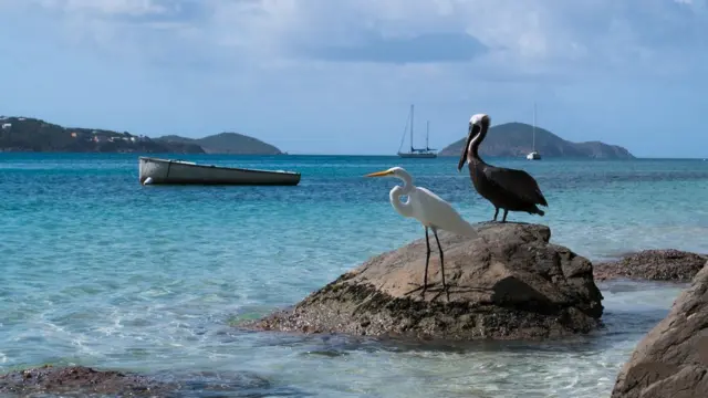 பால் ஹார்ரிஸ்: “கரீபியன் கடற்கரையோரத்தில் உள்ளூர் குடிவாசிகள்”.