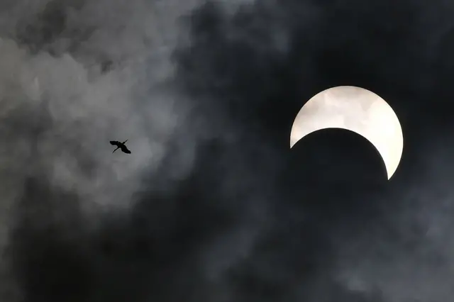 ภาพ ข่าว ยอดเยี่ยม เด่น 2562