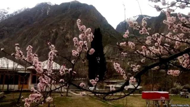 ਪਾਕਿਸਤਾਨ