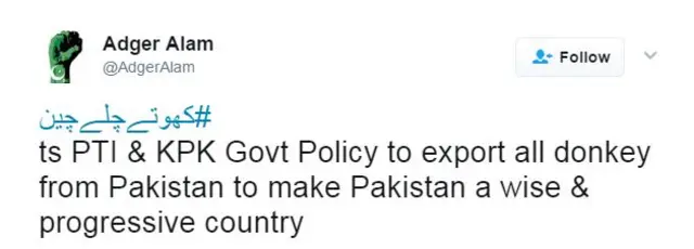पाकिस्तानी गधे