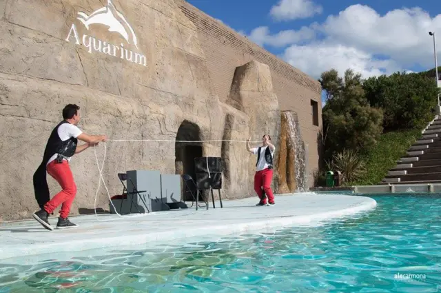 El show de "Magia Inclusiva" en el acuario de Mar del Plata