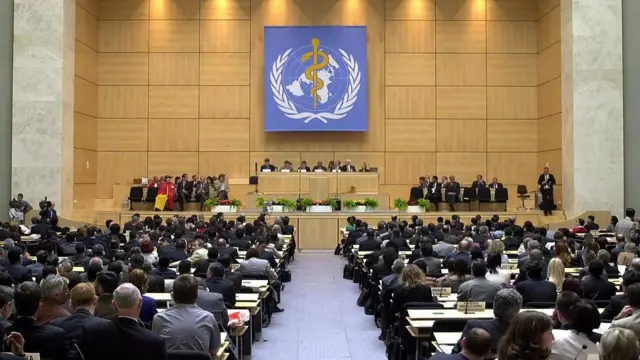 مجمع جهانی بهداشت جایی است که برای سازمان بهداشت جهانی تصمیم‌گیری می‌شود