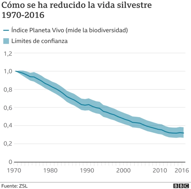 Cómo se ha reducido la vida silvestre: gráfico.