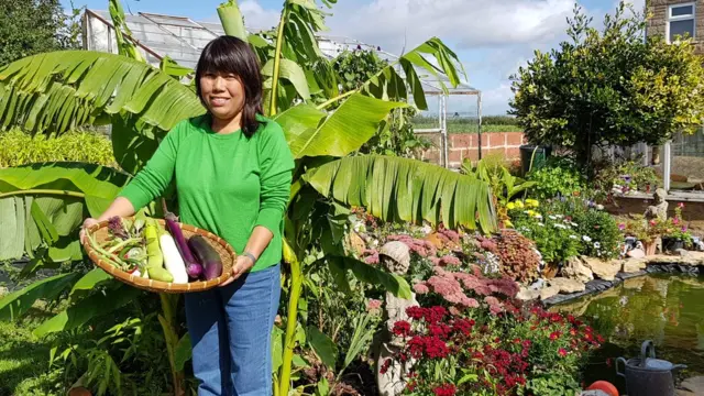 พีรญา ฮิลล์