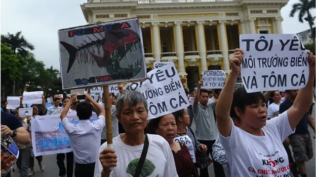 Formosa, môi trường, Việt Nam