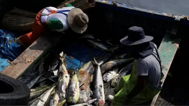 લીકૅજથી અસરગ્રસ્ત થયેલ ઘણાં પ્રાણીઓનાં મૃત્યુ પણ થયાં છે