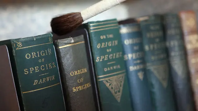 Varios tomos de "El orifen de las especies"
